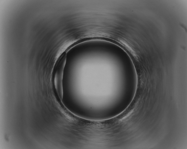 X0000091860885200709121328