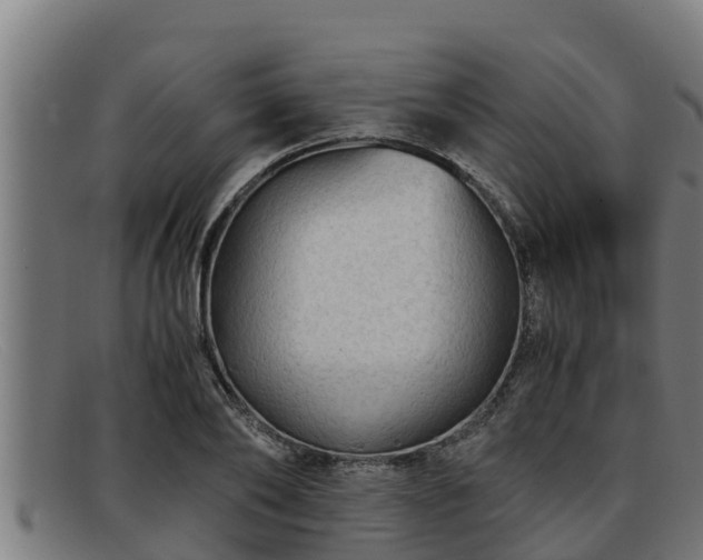 X0000091860886200709121328