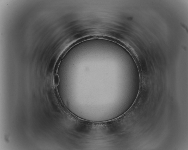 X0000091860887200709121328