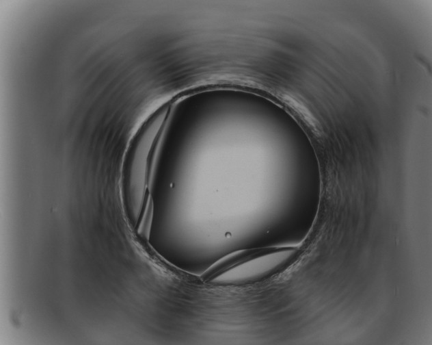 X0000091860888200709121328