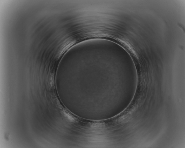 X0000091860889200709121328