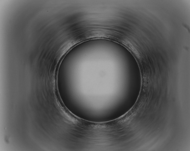 X0000091860890200709121328