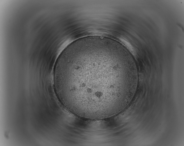 X0000091860891200709121328