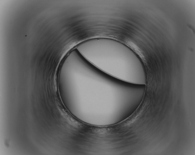 X0000091860892200709121328