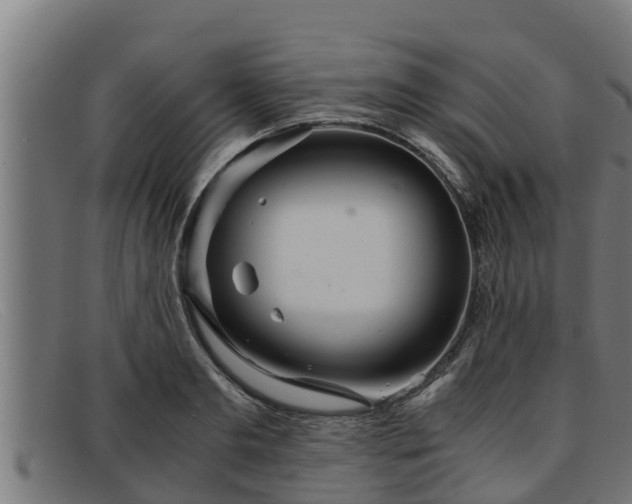 X0000091860893200709121328