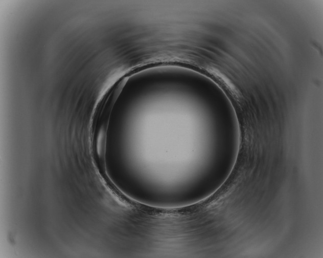 X0000091860894200709121328