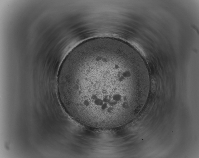 X0000091860895200709121328