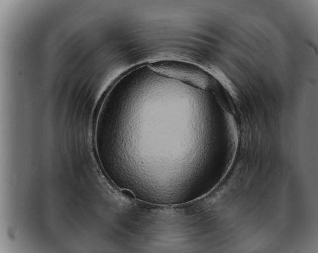 X0000091860896200709121328