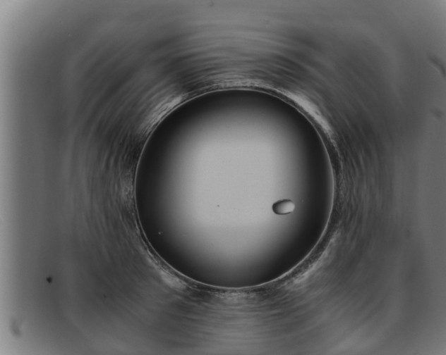 X0000091860897200709121328