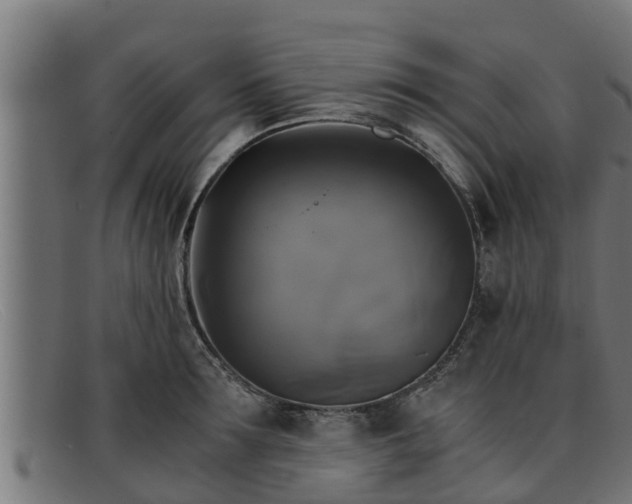 X0000091860899200709121328