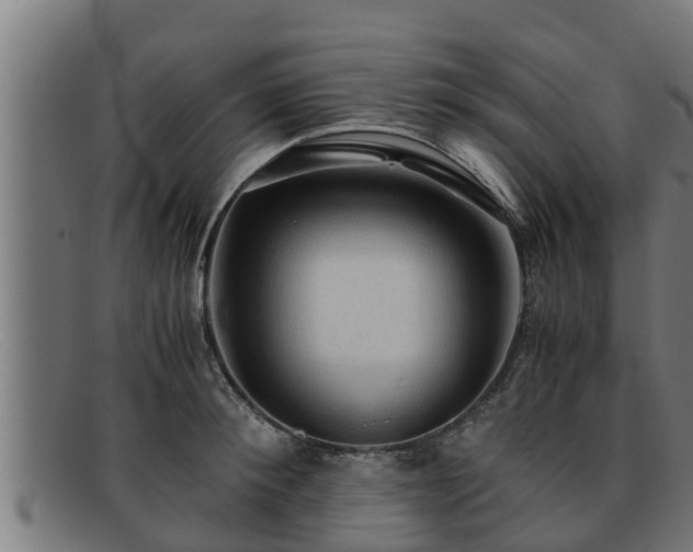 X0000091860900200709121328