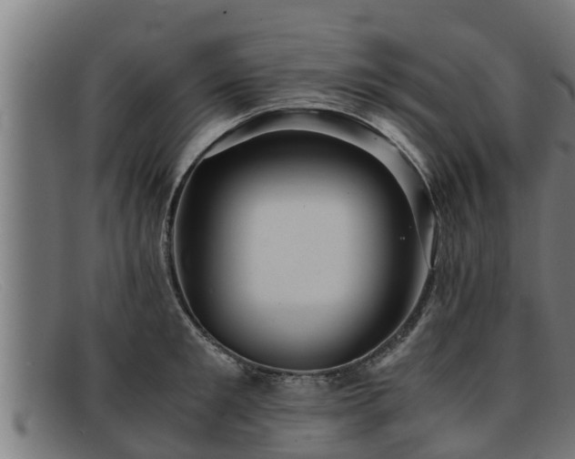 X0000091860901200709121328