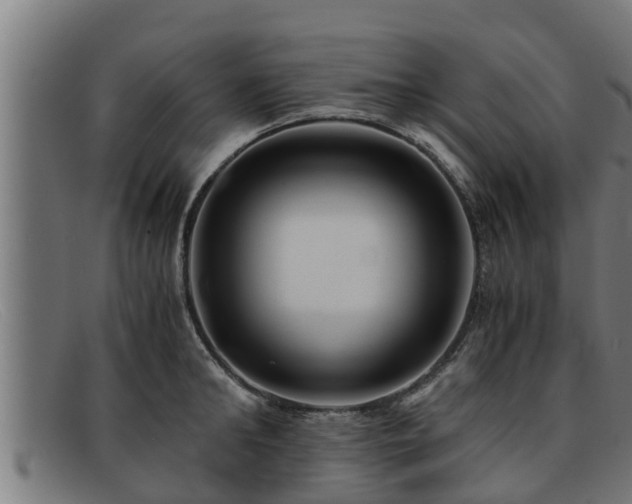 X0000091860902200709121328