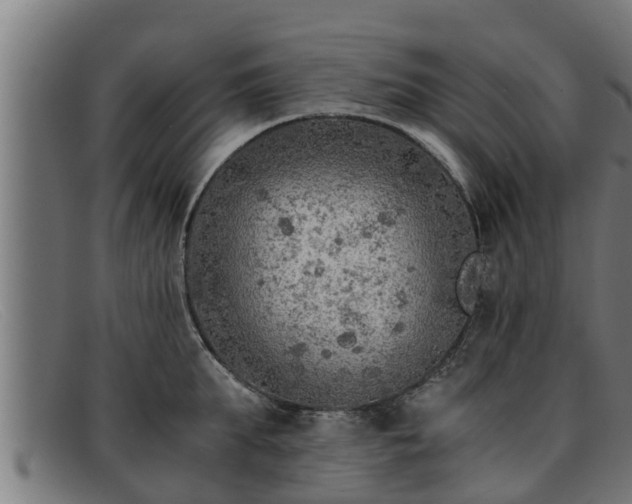 X0000091860903200709121328