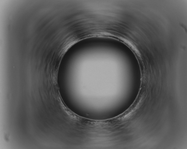 X0000091860905200709121327