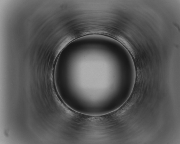 X0000091860906200709121327