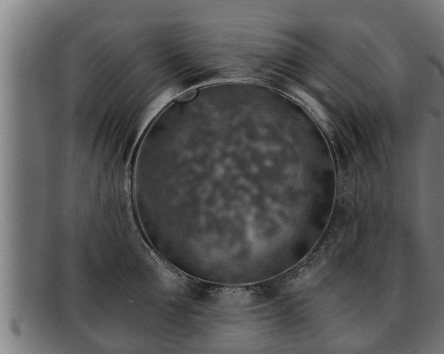 X0000091860907200709121327