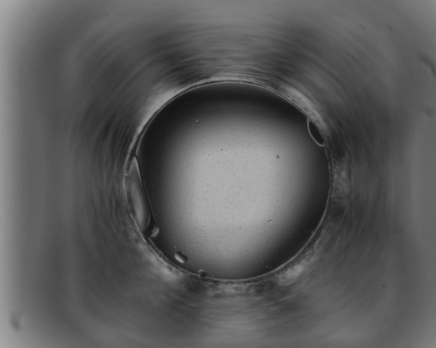 X0000091860908200709121327