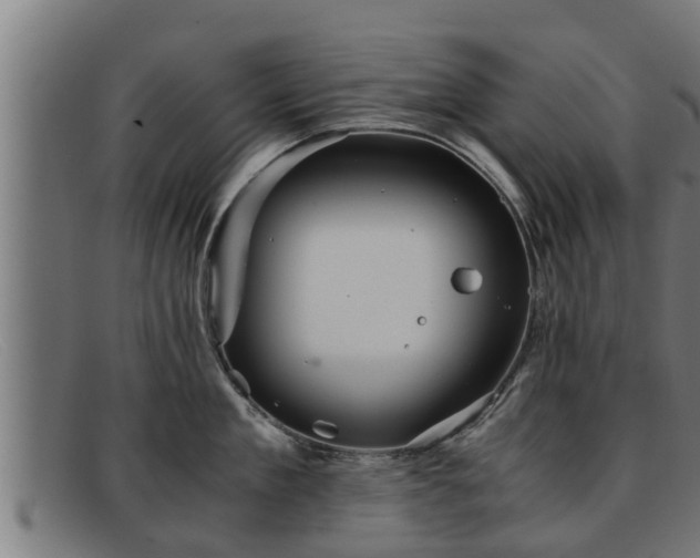 X0000091860909200709121327