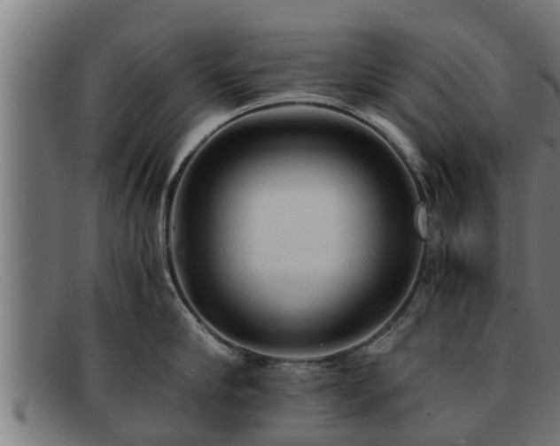 X0000091860910200709121327