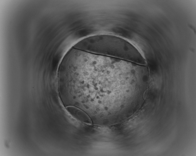 X0000091860911200709121327