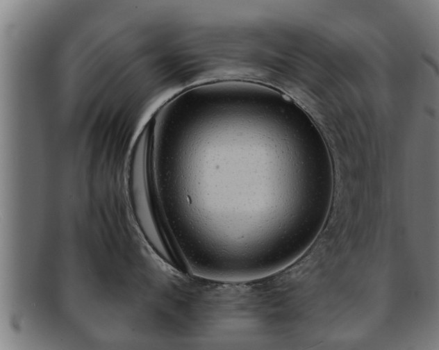 X0000091860912200709121327