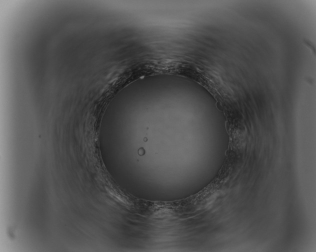 X0000091860913200709121327