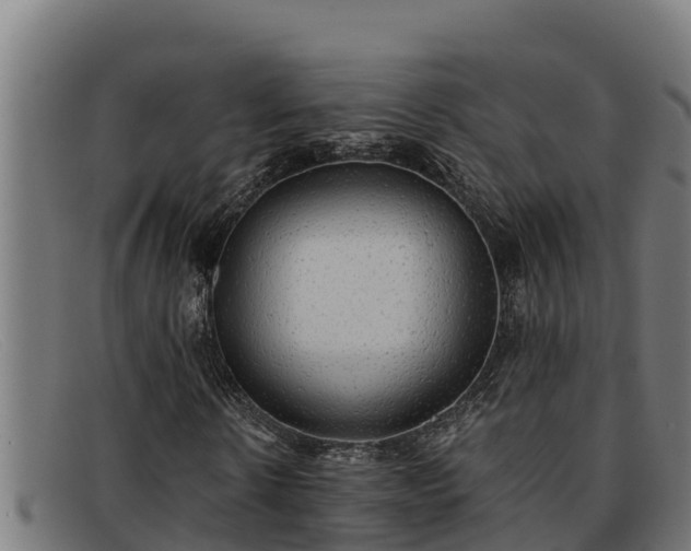 X0000091860914200709121327