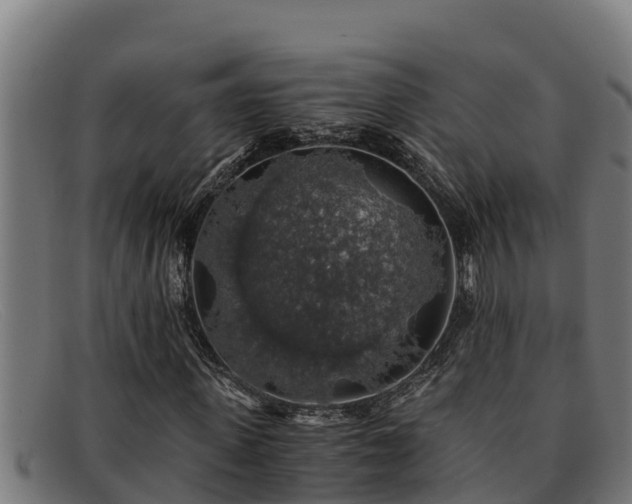 X0000091860915200709121327