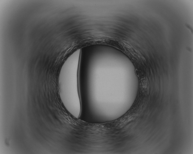 X0000091860916200709121327