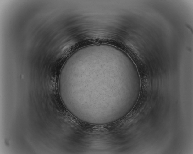 X0000091860918200709121327