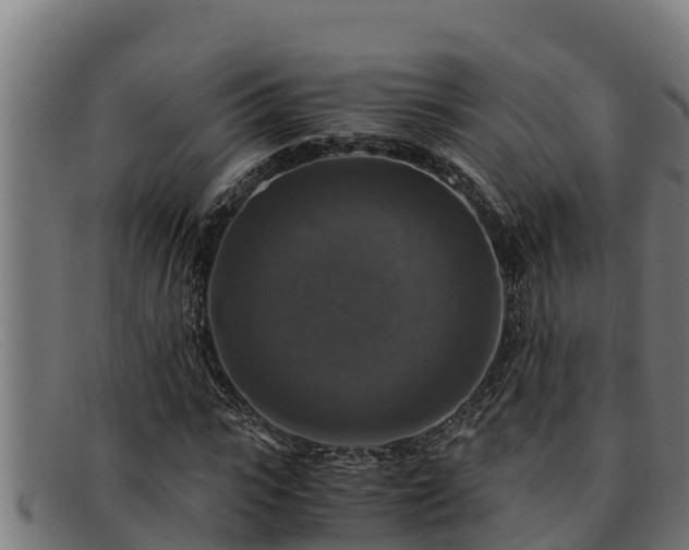 X0000091860919200709121327