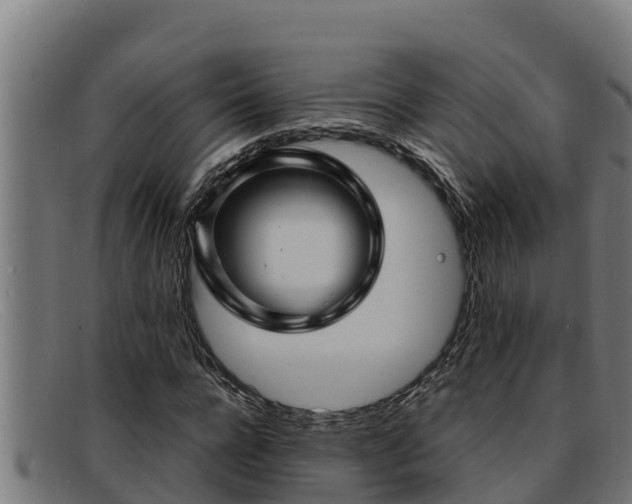 X0000091860920200709121327