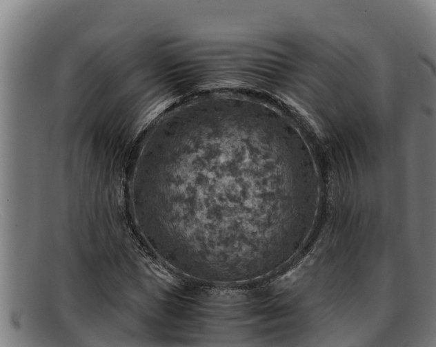 X0000091860921200709121327