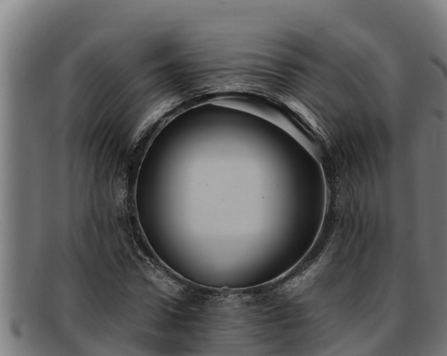 X0000091860922200709121327