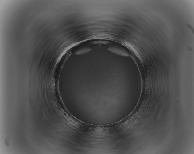 X0000091860923200709121327