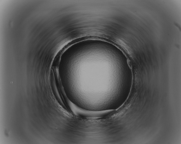 X0000091860924200709121327