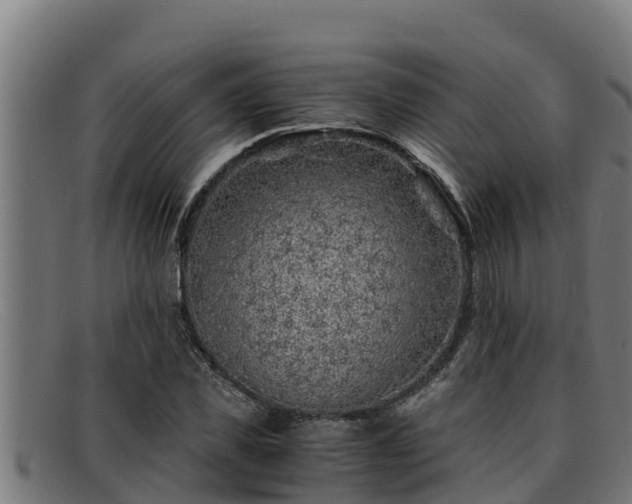 X0000091860925200709121327