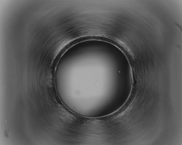 X0000091860926200709121327