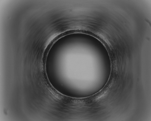 X0000091860927200709121327