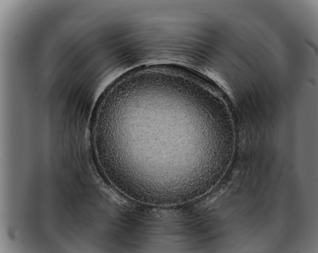 X0000091860928200709121327