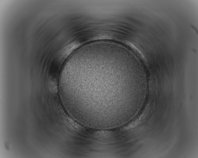 X0000091860929200709121327