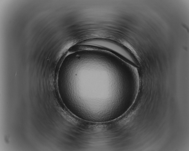 X0000091860930200709121327