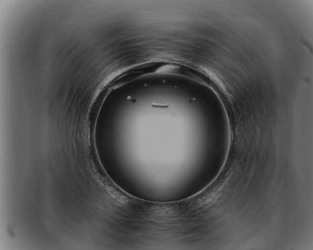 X0000091860931200709121327