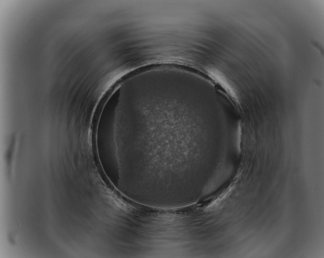 X0000091860932200709121327