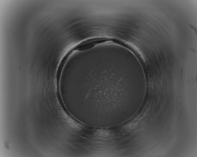 X0000091860935200709121327