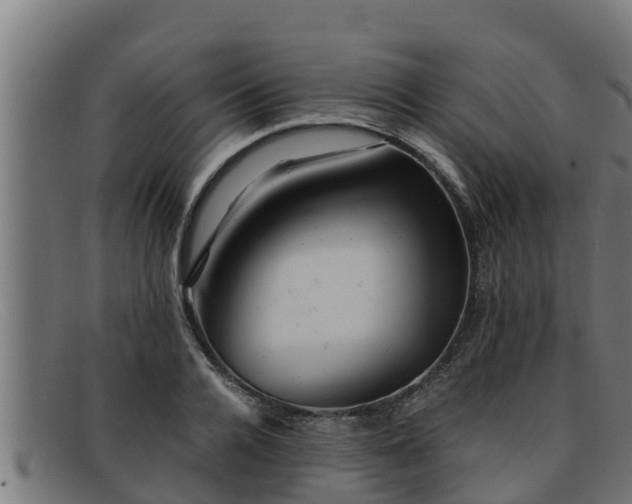 X0000091860936200709121327