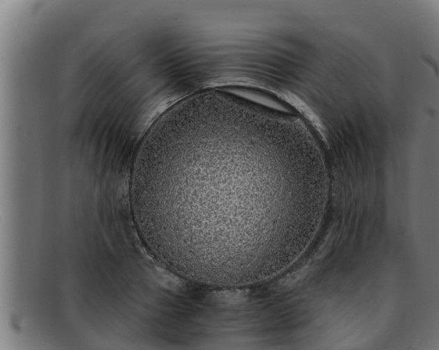 X0000091860937200709121327