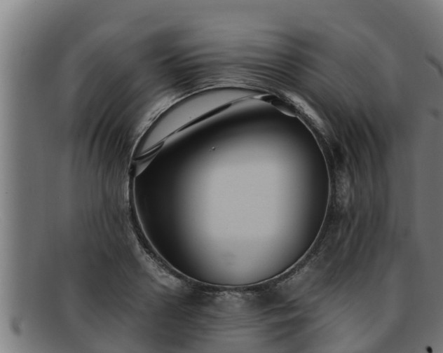 X0000091860938200709121327