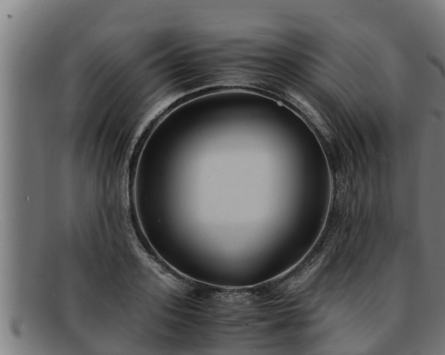 X0000091860939200709121327